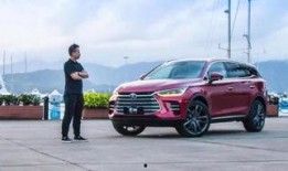 比亚迪吴颖爆料视频大全,揭秘企业内部动态与行业洞察